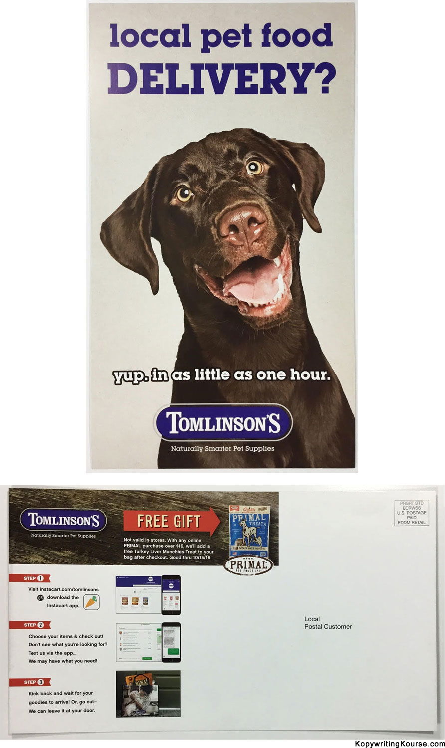 pet-food-delivery-flyer-chocolate-lab-big