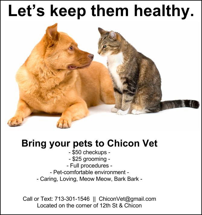 vet-one-pager-flyer-example