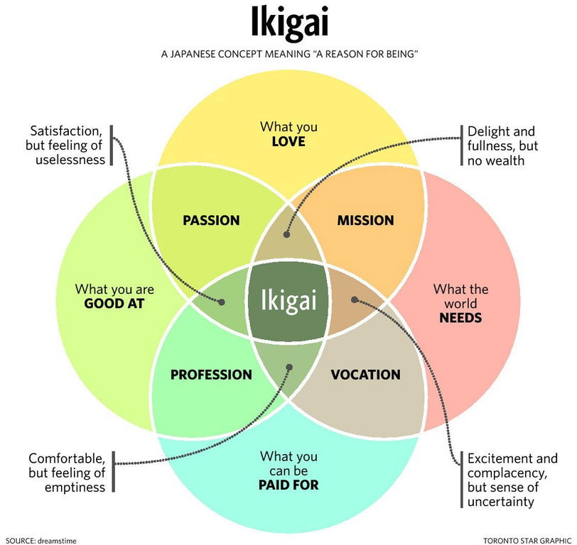 Ikigai Formula