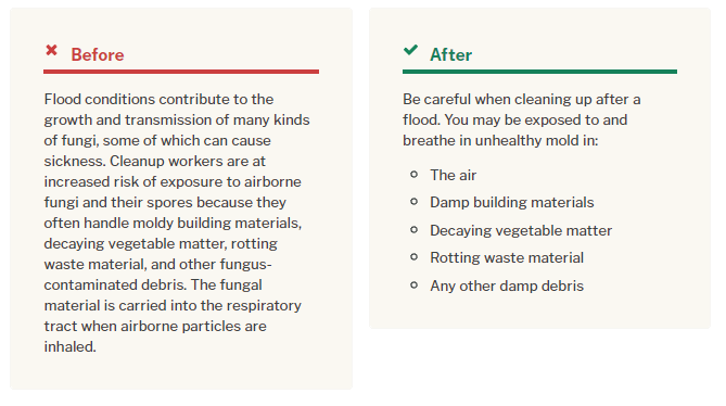 bullet-point-example