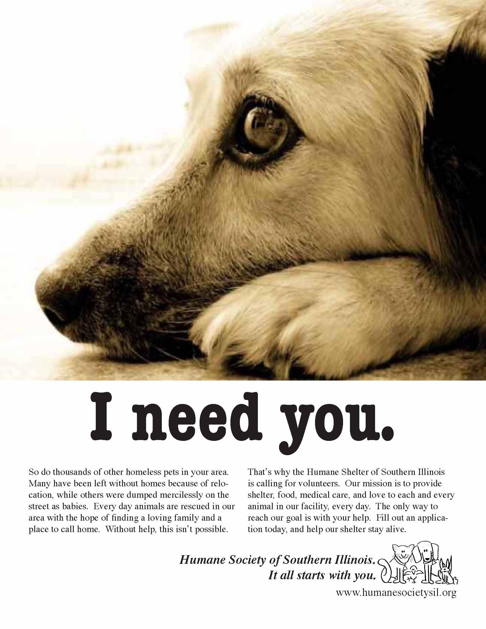 classic dog rescue ad