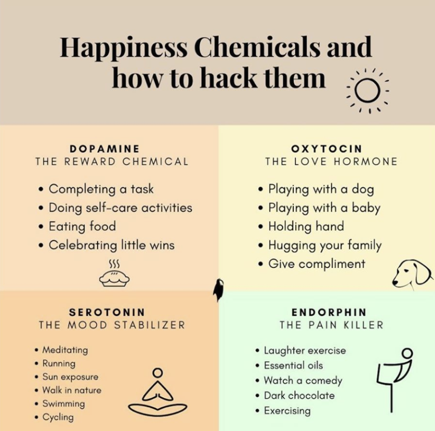 happiness-chemicals-image