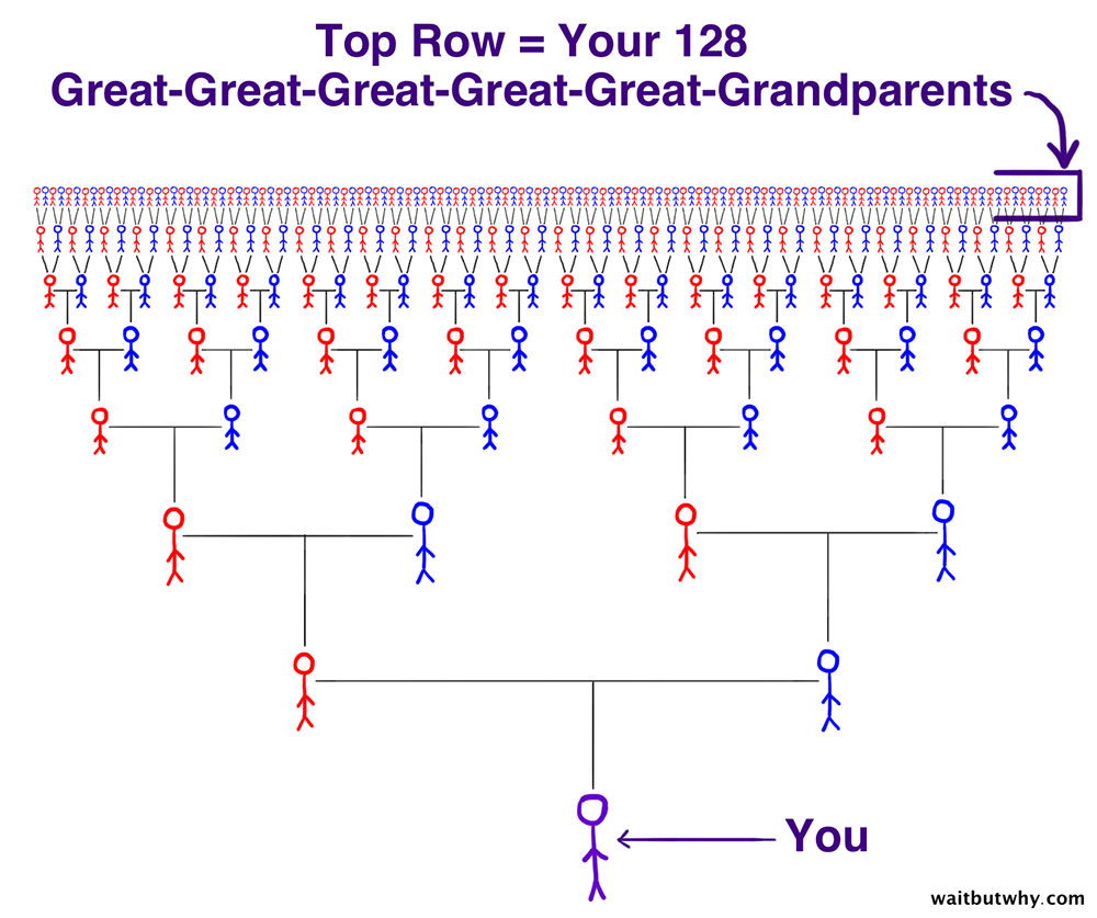 wait-but-why-ancestors-grandparents-image