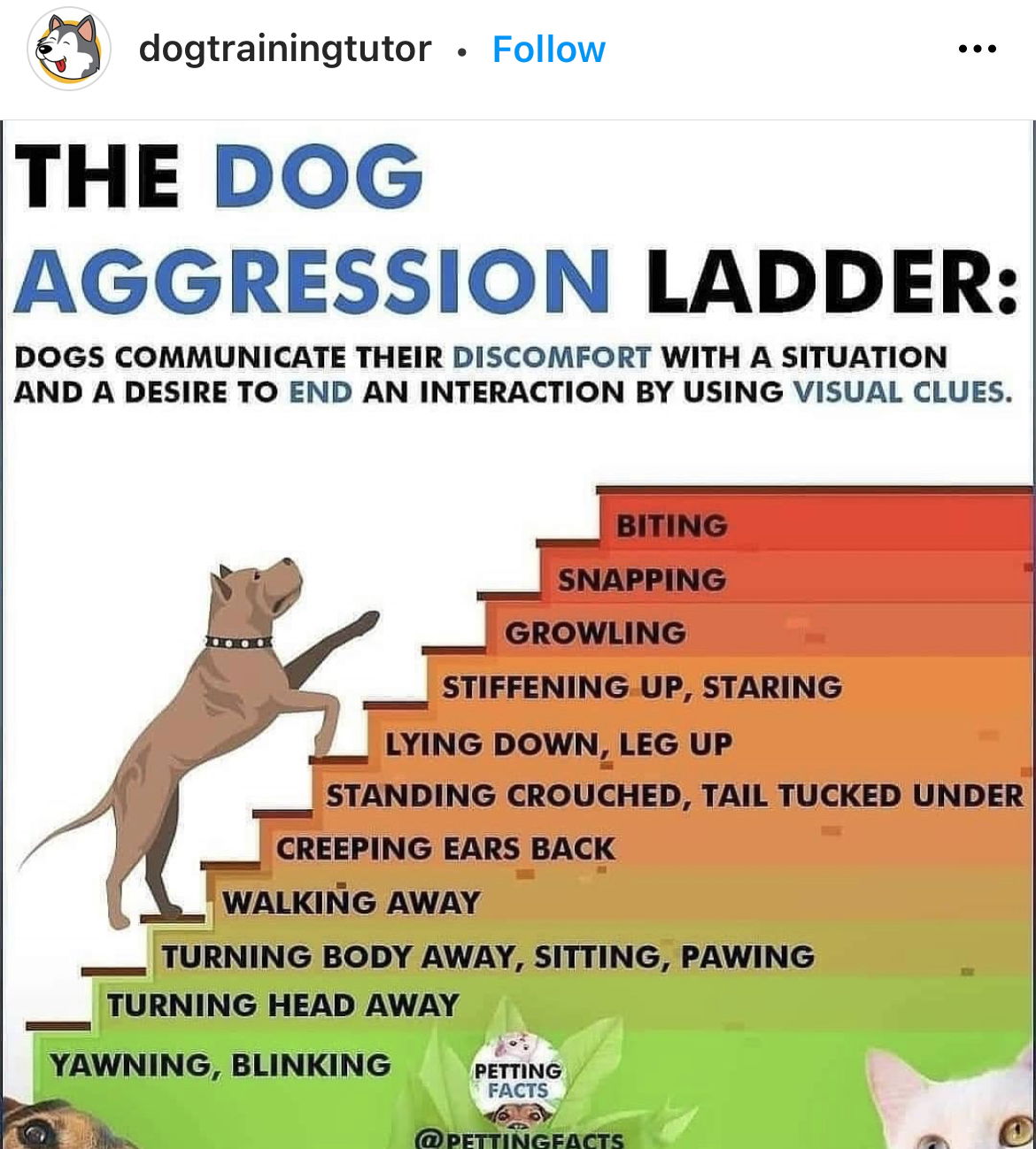 dog-aggression-chart