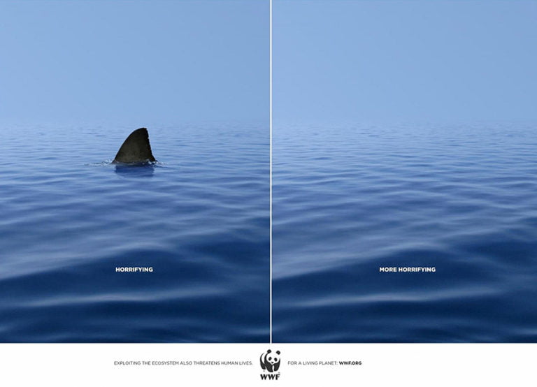 wwf before and after print ad