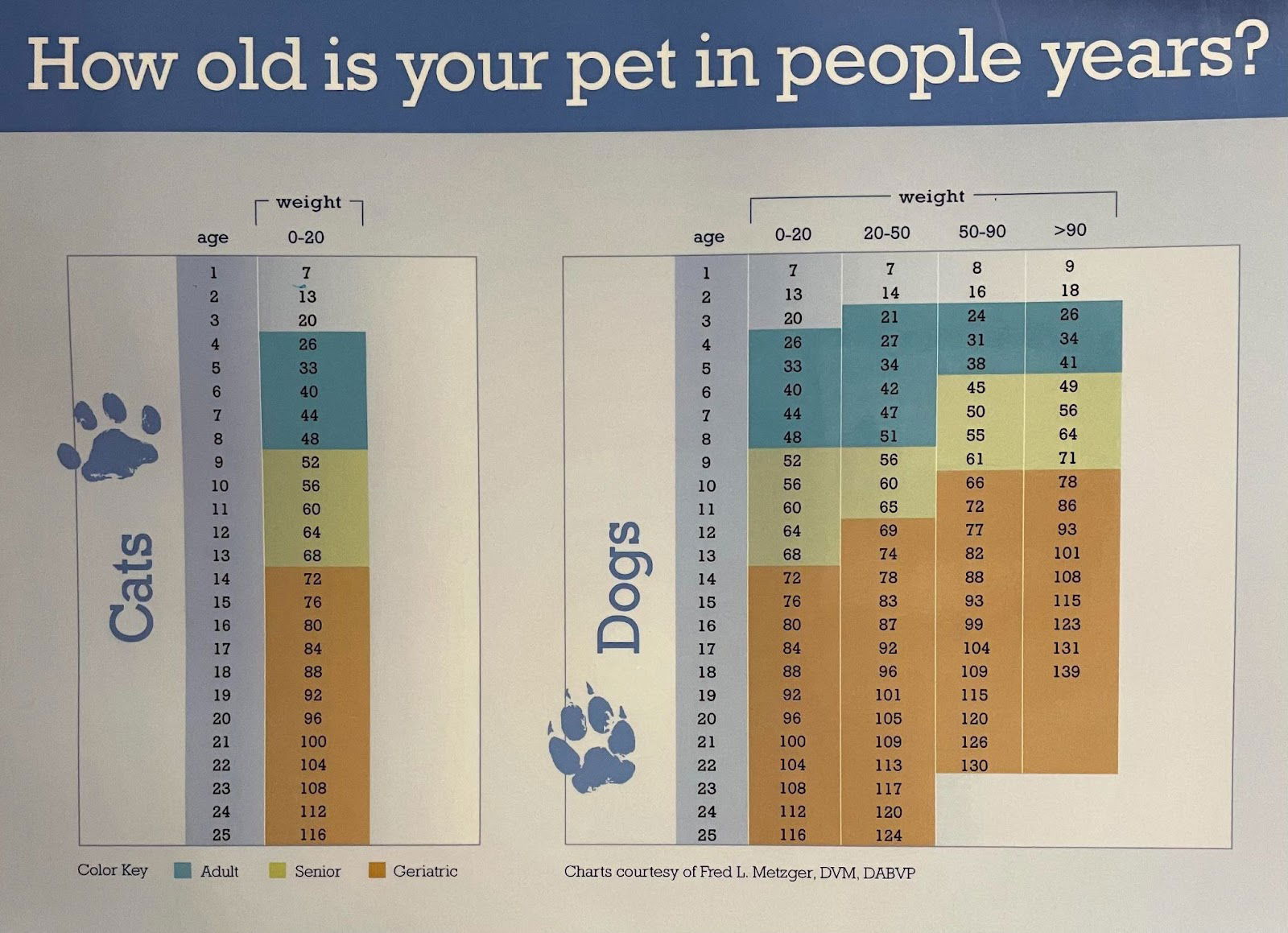 pet-to-human-years-calculator