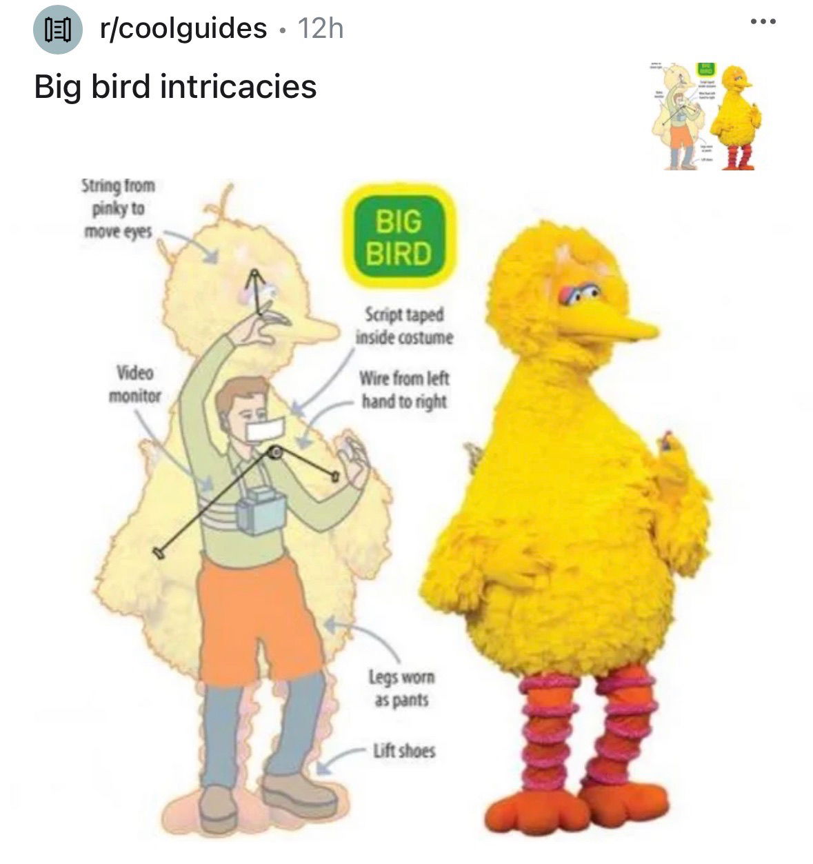 illustration-on-how-Big-Bird-works