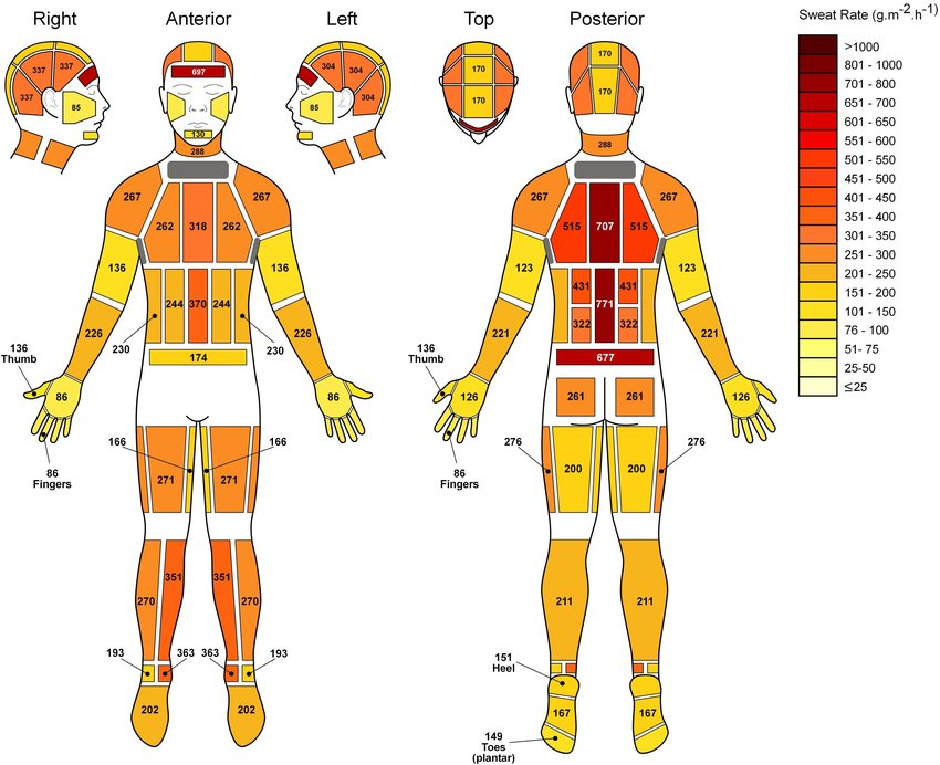 where-you-sweat-chart