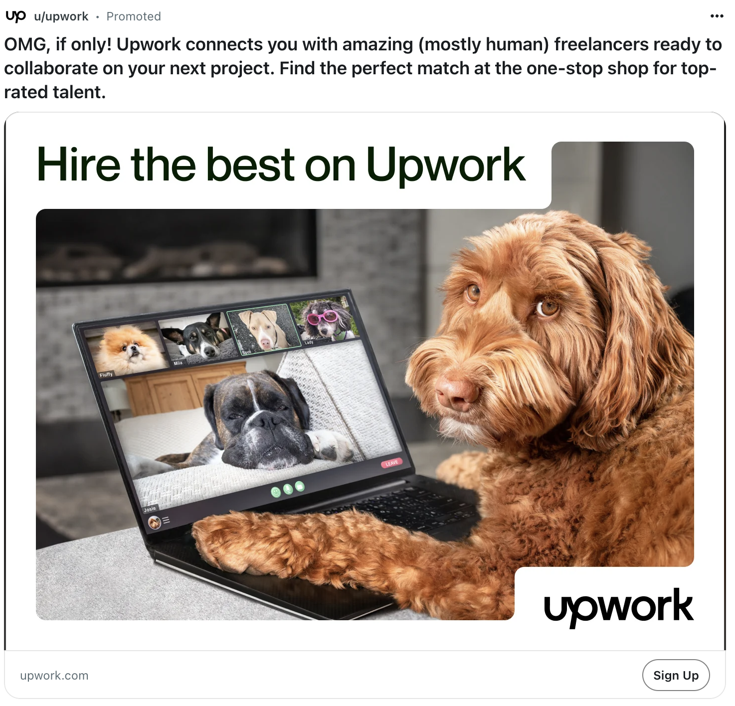 upwork-dog-add-reddit.png