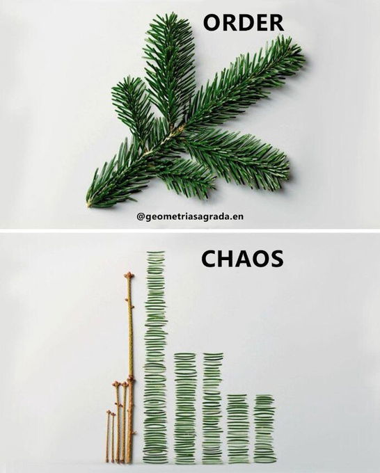 order-vs-chaos-visualization.png
