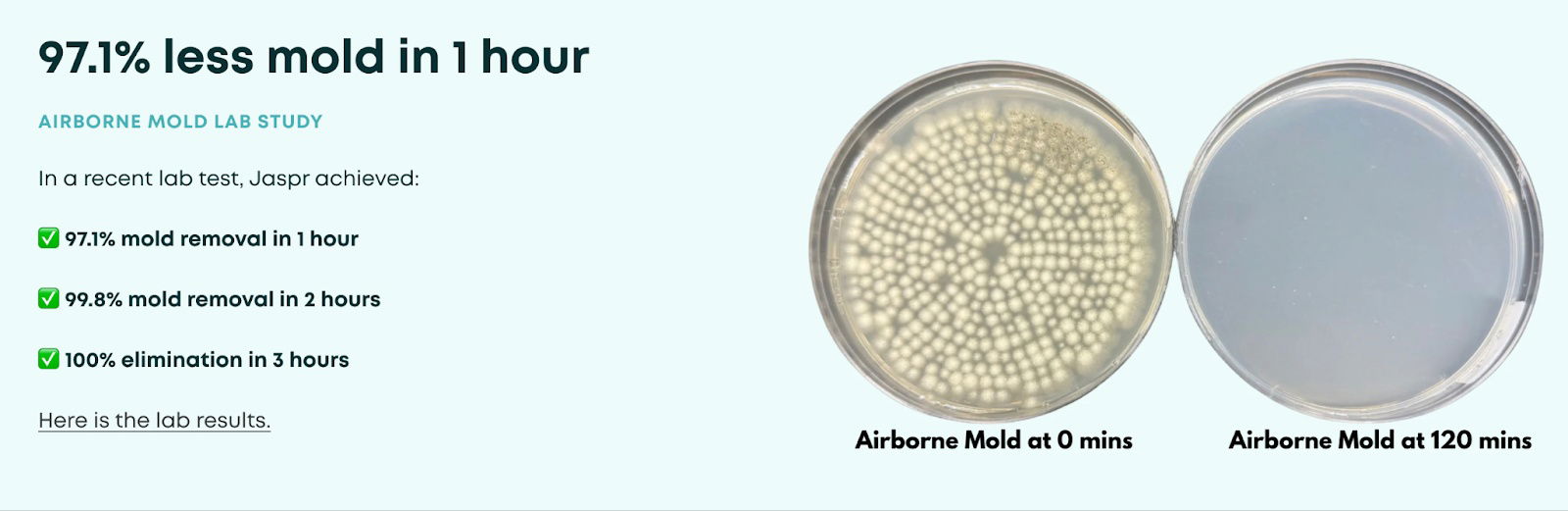 jaspr-air-beforeafter.png