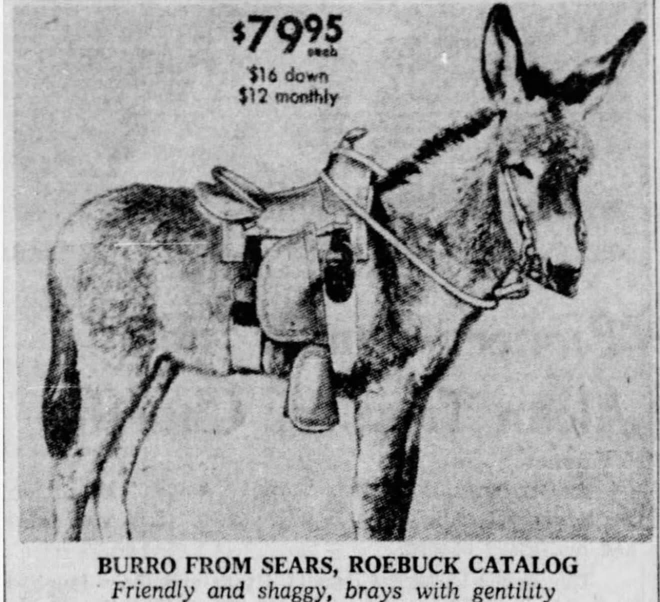you-used-to-be-able-to-buy-a-donkey-from-the-sears-catalog.jpg