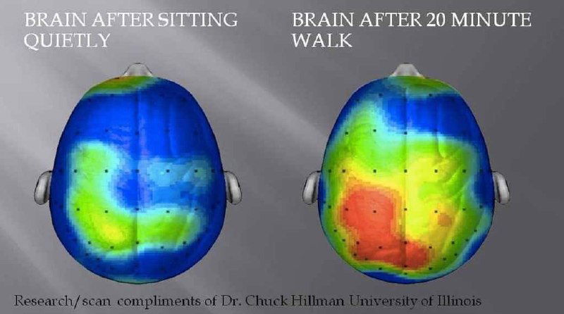 20-minute-walk-that-sparks-brain-activity-8de0187f.jpg