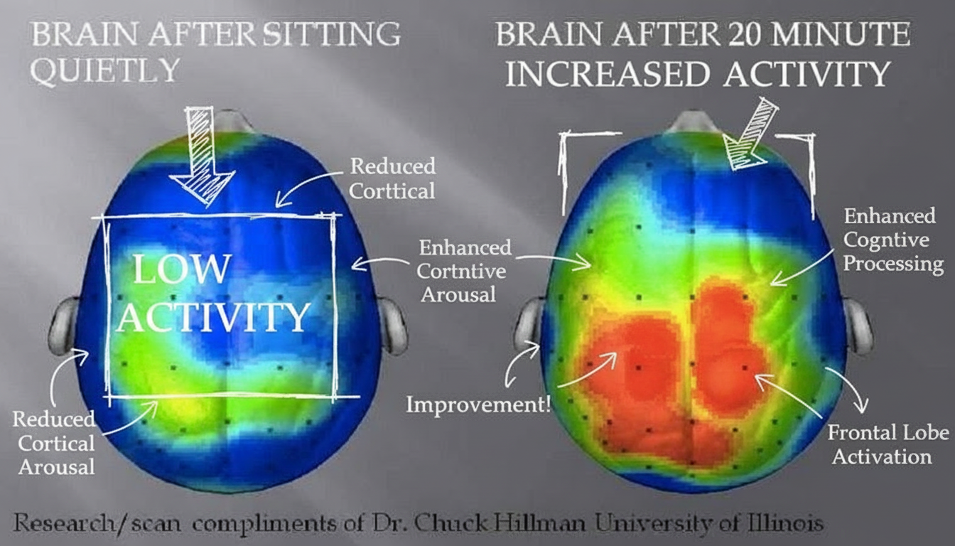 Annotated sketchbook style