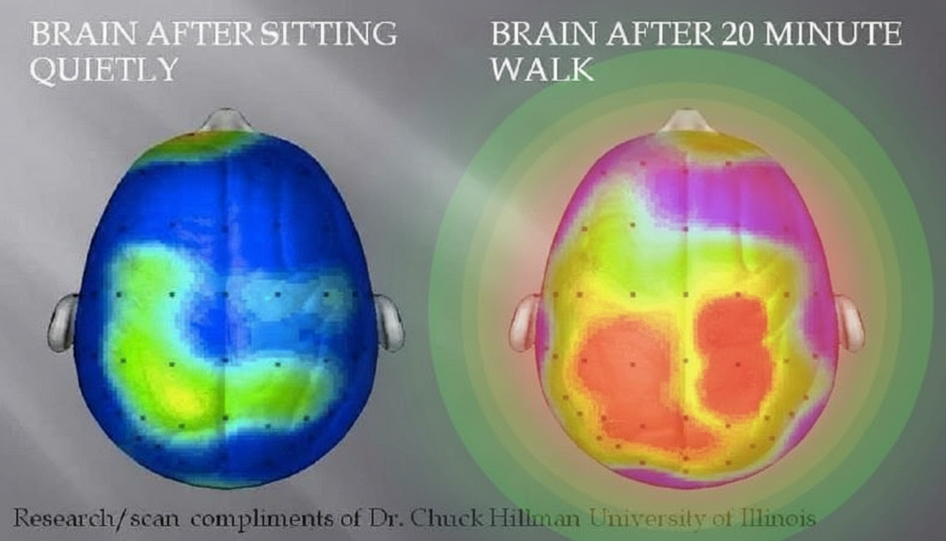Eye-tracking heatmap