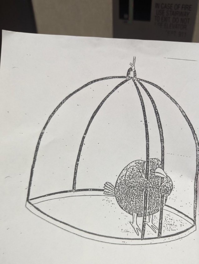 quit-choosing-your-own-invisible-cage-4603d0f7.png