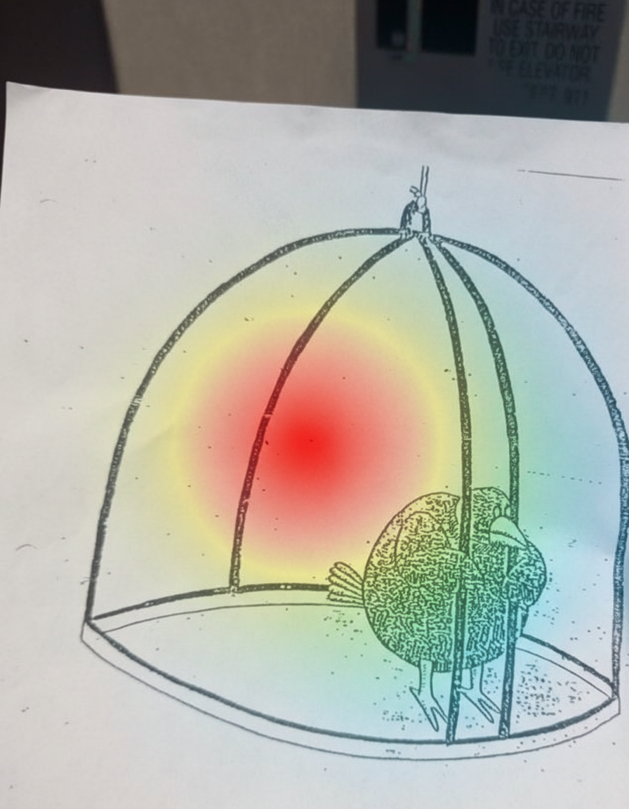 Eye-tracking heatmap