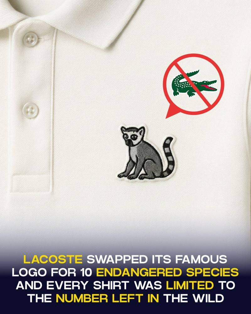 lacoste-ditches-crocodile-for-endangered-species-f7f559ff.png