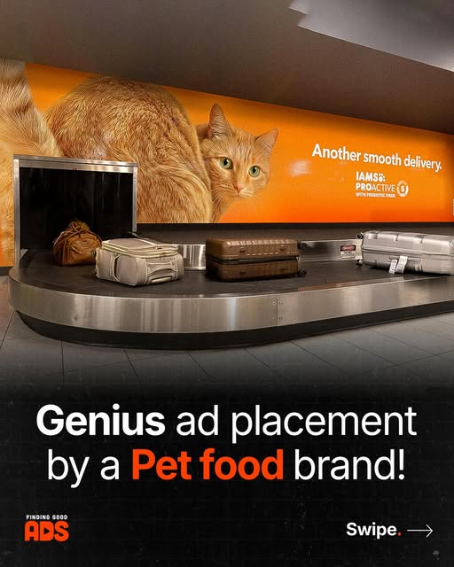 steal-attention-with-baggage-claim-activations-cover