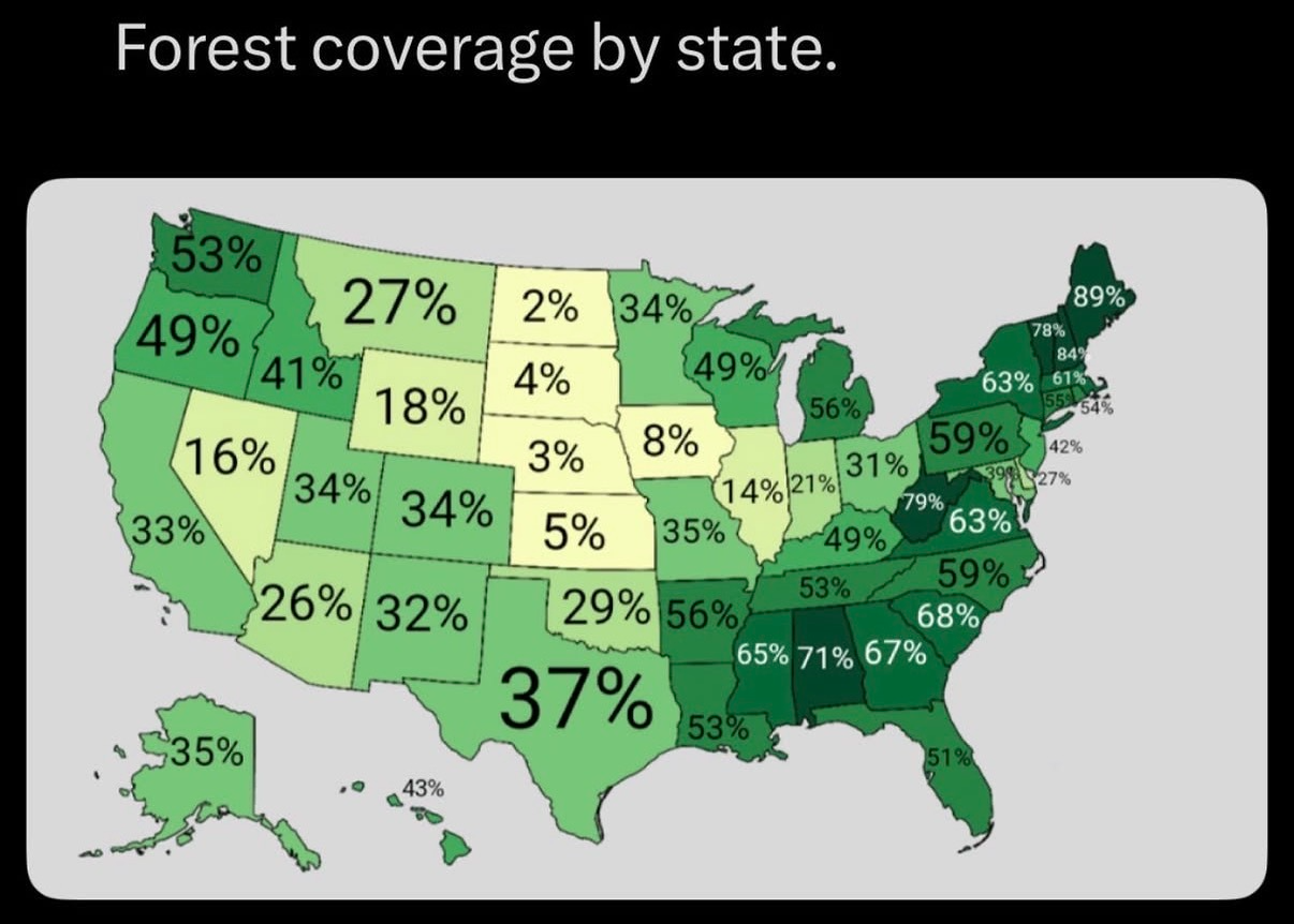 target-ads-by-state-forest-coverage-b6d235bc.png